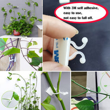 Load image into Gallery viewer, Plant climbing wall Self-Adhesive Fastener Tied fixture Vine Buckle Hook Garden plant wall climbing Vine Clips Fixed Buckle Hook
