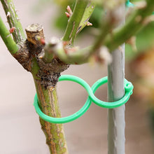 Load image into Gallery viewer, 50/100 Pcs Garden Plant Holder Trellis Clips For Vine Vegetable New Tomato Growing Upright Garden Plant Stand Tool
