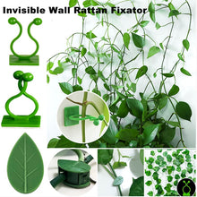 Load image into Gallery viewer, Invisible Wall Rattan Clamp Plant Climbing Wall Self-Adhesive Fixator Vine Buckle Hook Rattan Fixed Clip Bracket Plant Stent Sup
