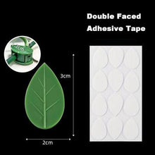 Load image into Gallery viewer, Invisible Wall Rattan Clamp Plant Climbing Wall Self-Adhesive Fixator Vine Buckle Hook Rattan Fixed Clip Bracket Plant Stent Sup
