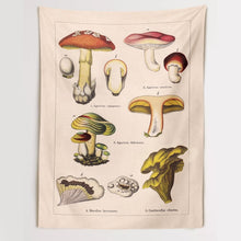 Load image into Gallery viewer, Quotes Mushroom Tapestry Wall Decor Mycology Mushroom Champignon Identification Chart Diagram Illustration Wall Art Boho Decor
