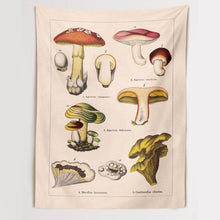 Load image into Gallery viewer, Quotes Mushroom Tapestry Wall Decor Mycology Mushroom Champignon Identification Chart Diagram Illustration Wall Art Boho Decor
