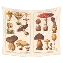 Load image into Gallery viewer, Quotes Mushroom Tapestry Wall Decor Mycology Mushroom Champignon Identification Chart Diagram Illustration Wall Art Boho Decor
