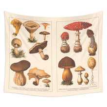 Load image into Gallery viewer, Quotes Mushroom Tapestry Wall Decor Mycology Mushroom Champignon Identification Chart Diagram Illustration Wall Art Boho Decor
